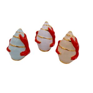 Caracol Coral Ref. AM-10