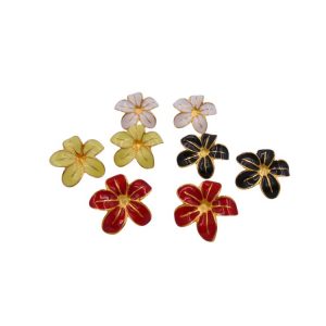 Campanula Ref. OR-24